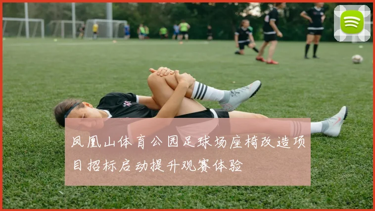 凤凰山体育公园足球场座椅改造项目招标启动提升观赛体验