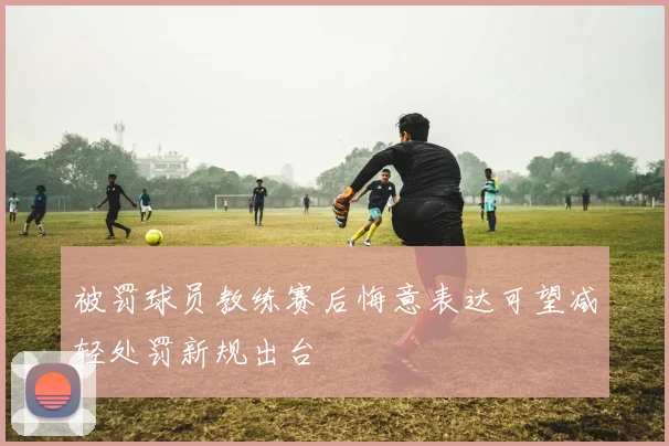 被罚球员教练赛后悔意表达可望减轻处罚新规出台