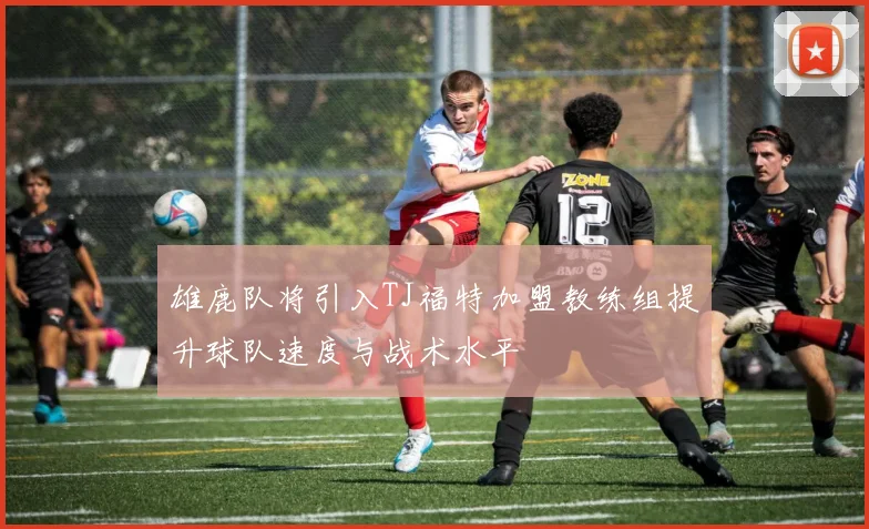 雄鹿队将引入TJ福特加盟教练组提升球队速度与战术水平